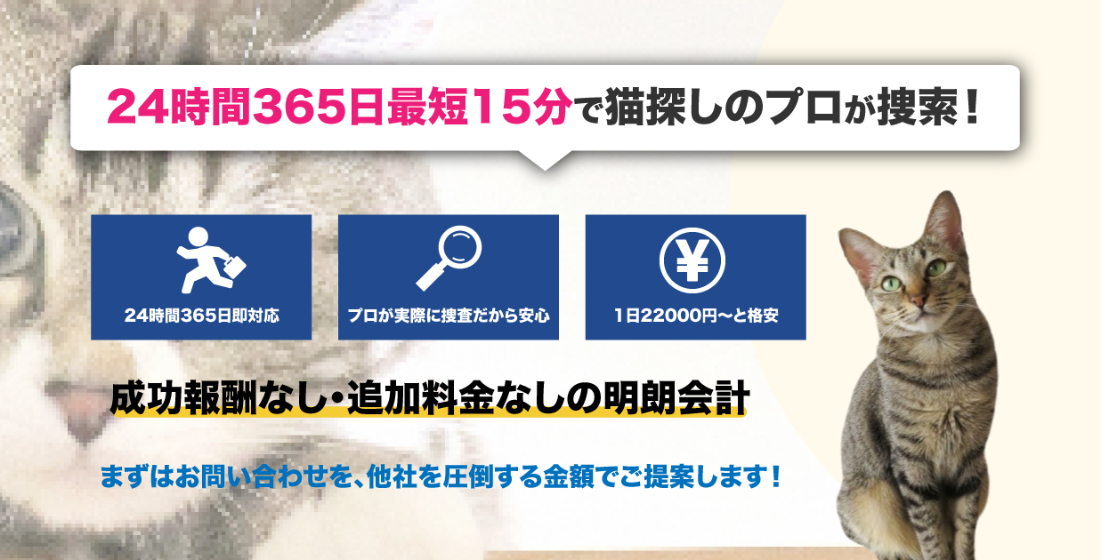 迷子猫の捜索はプロの探偵にお任せ｜猫探偵24【24時間対応】