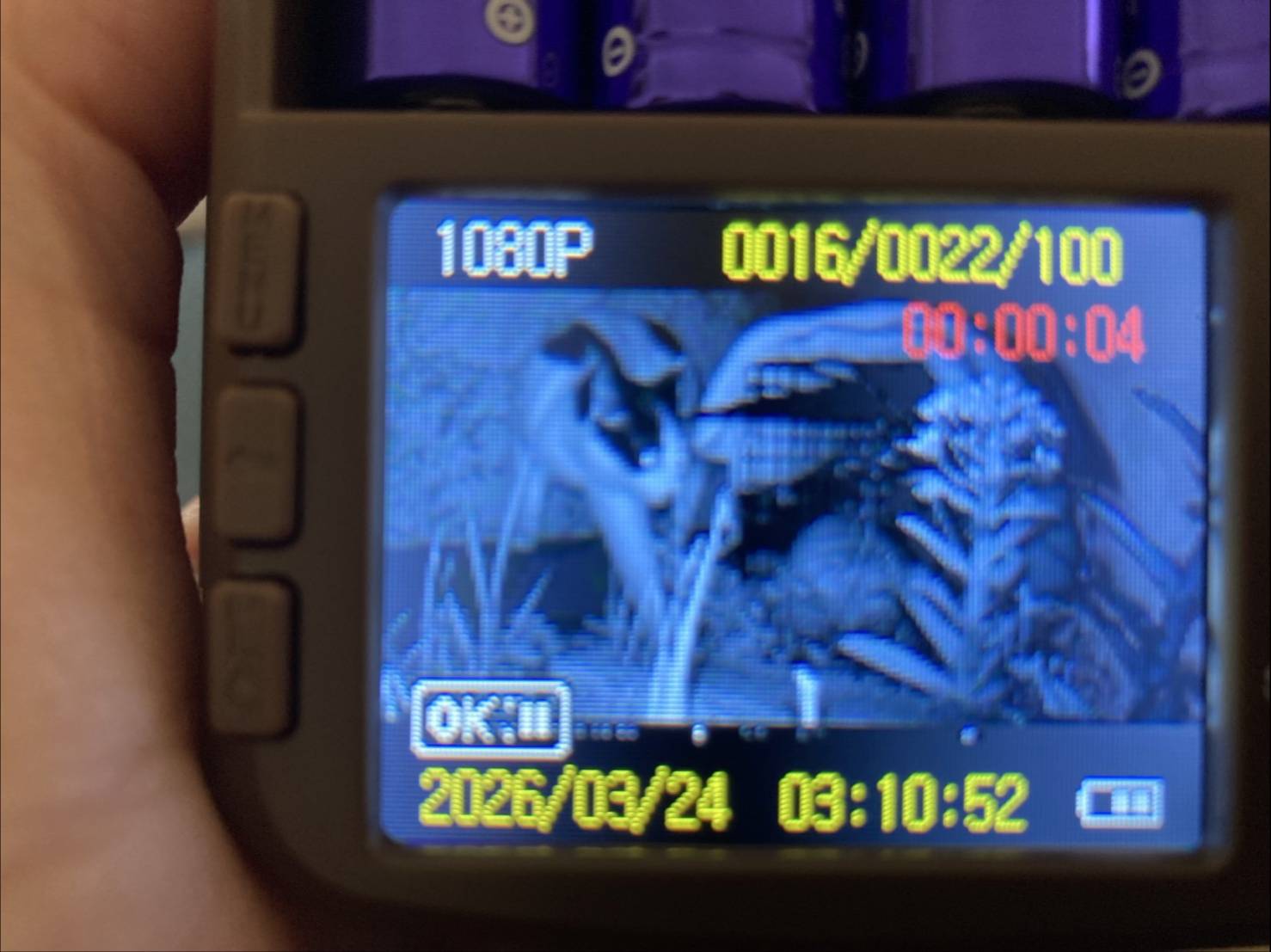 捜索のプロだから