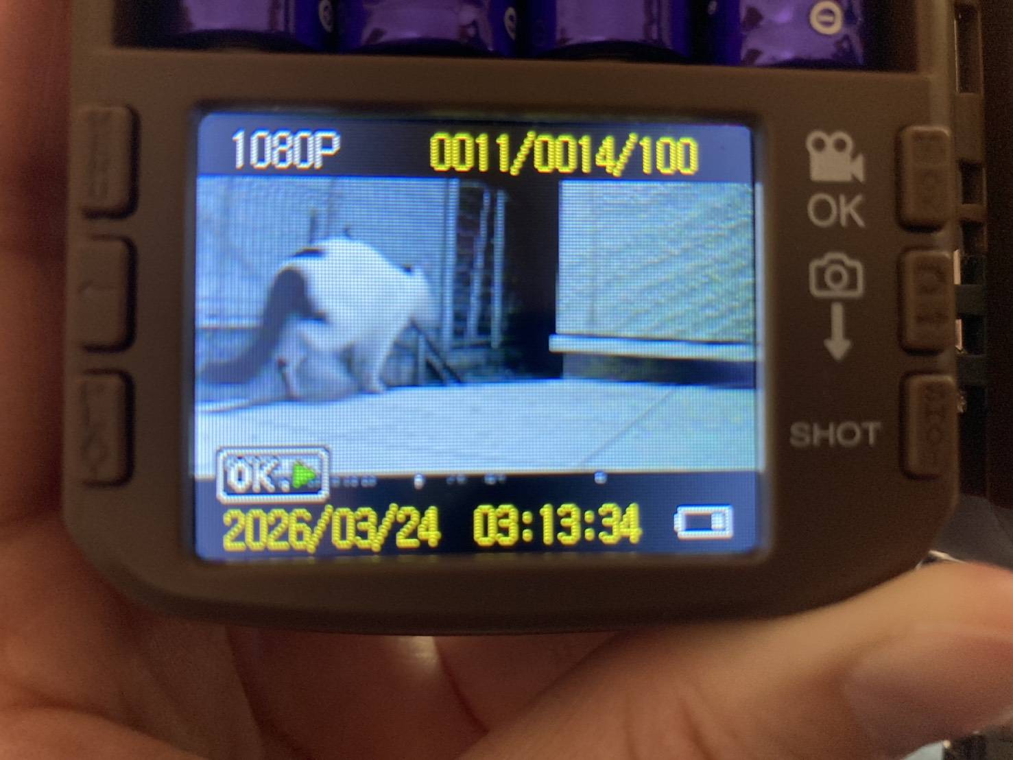 捜索のプロだから