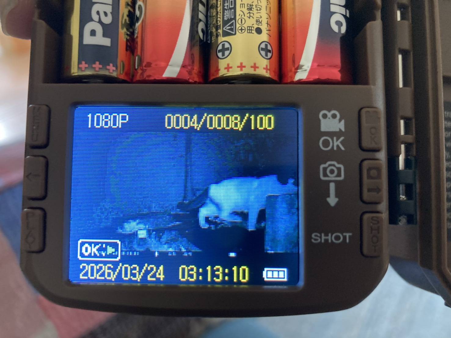 捜索のプロだから