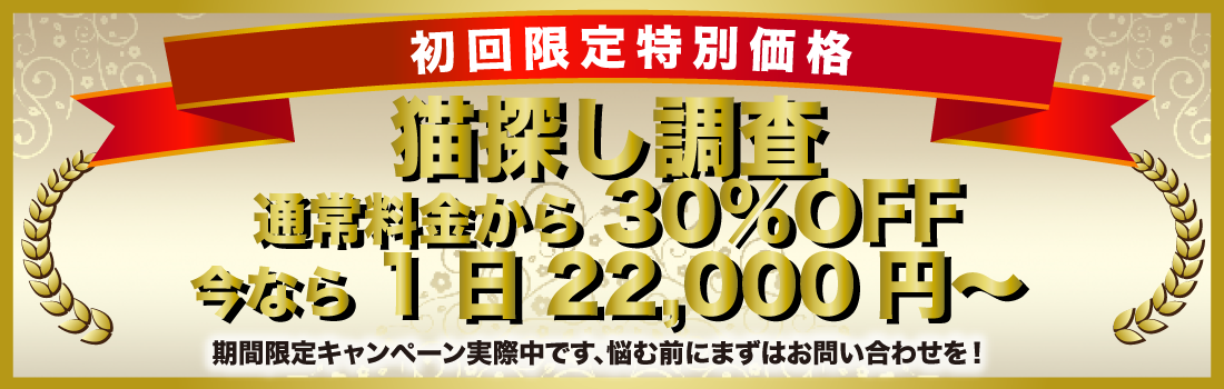 猫探偵24 キャンペーン情報