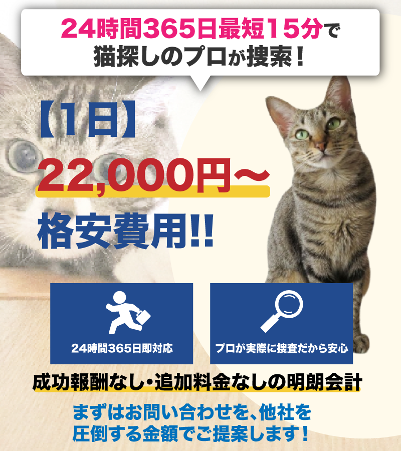 猫探偵24 お電話・お問い合わせ・LINE相談